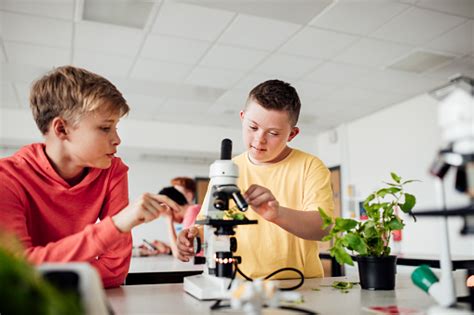 Laboratory Partners .